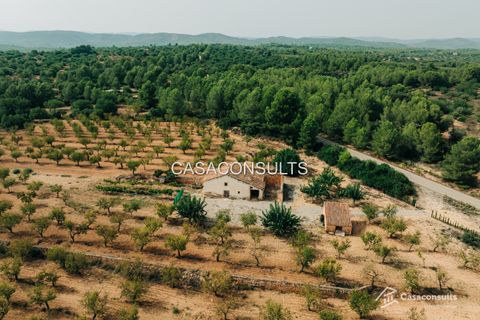 Masia a Les Useras, Castellon, Les Useras - € 140.000 | Ref: 874 - foto 20